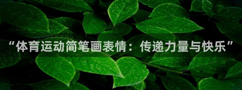 球王会体育