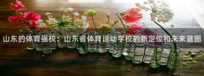 球王会体育