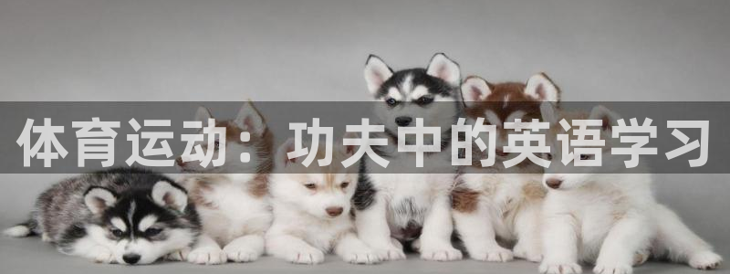 球王会体育