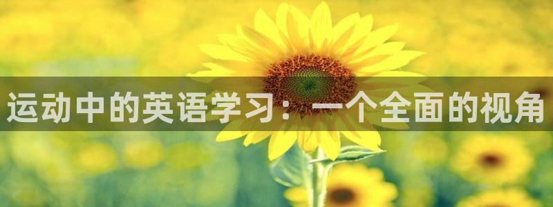 球王会体育