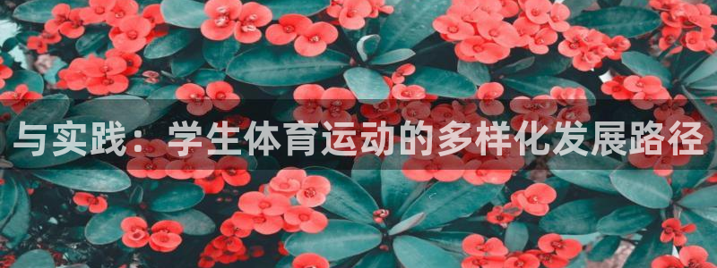 球王会体育
