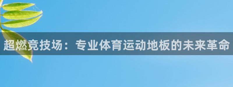 球王会体育