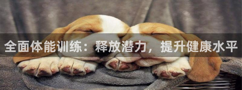 球王会体育