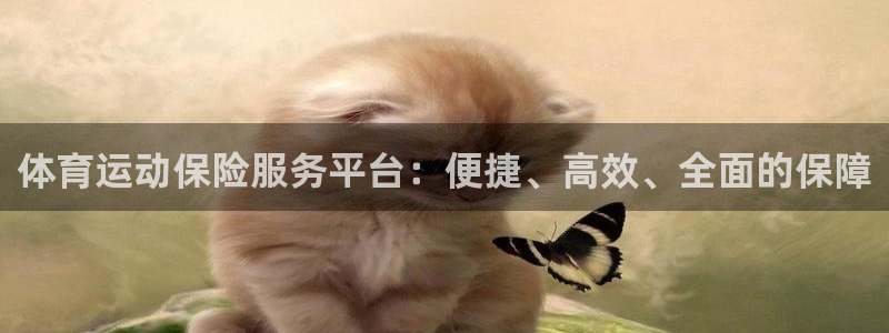 球王会体育