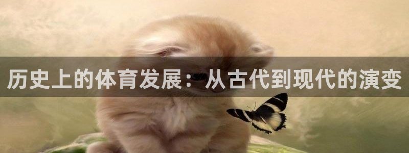 球王会体育