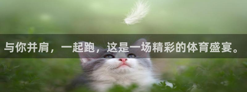 球王会体育