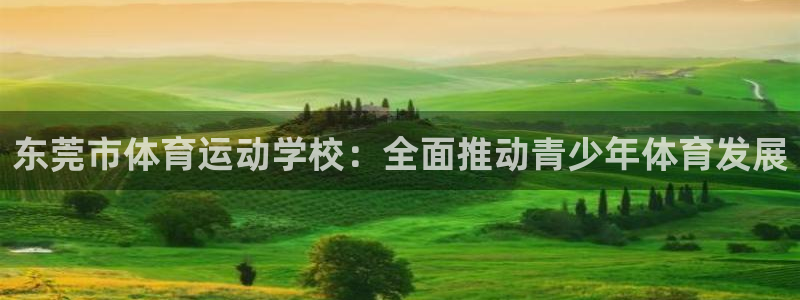球王会体育
